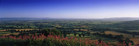 Framed Trees on a landscape, Uley, Cotswold Hills, Gloucestershire, England Print