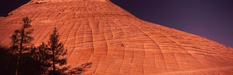 Framed Shadow of trees on a rock formation, Checkerboard Mesa, Zion National Park, Utah, USA Print