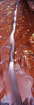 Framed Stream flowing through rocks, Zion National Park, Utah Print