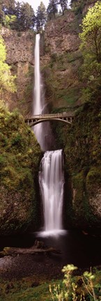 Framed Waterfall in a forest, Multnomah Falls, Columbia River Gorge, Oregon, USA Print