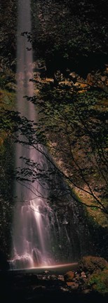 Framed Waterfall in a forest, Columbia Gorge, Oregon, USA Print