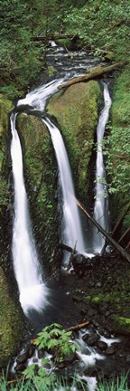 Framed High angle view of a waterfall in a forest, Triple Falls, Columbia River Gorge, Oregon (vertical) Print
