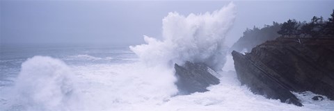 Framed Waves breaking on the coast, Shore Acres State Park, Oregon Print