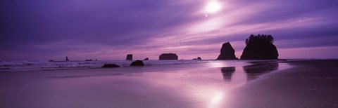 Framed Second Beach, Washington State Print