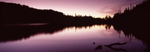 Framed Reflection of trees in a lake, Mt Rainier, Pierce County, Washington State Print