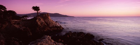 Framed Silhouette of a cypress tree at coast, The Lone Cypress, 17 mile Drive, Carmel, California, USA Print