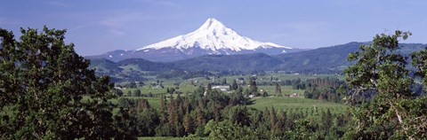 Framed Trees and farms with a snowcapped mountain in the background, Mt Hood, Oregon, USA Print