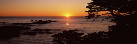 Framed Sunset over the sea, Point Lobos State Reserve, Carmel, Monterey County, California, USA Print