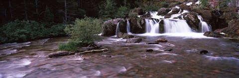 Framed Waterfall in a forest, US Glacier National Park, Montana, USA Print