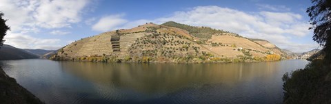 Framed Vineyards at the riverside, Cima Corgo, Duoro River, Douro Valley, Portugal Print