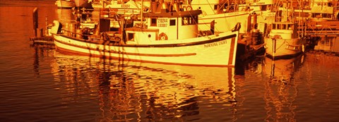 Framed Fishing boats in the bay, Morro Bay, San Luis Obispo County, California (horizontal) Print