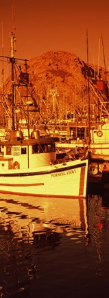 Framed Fishing boats in the bay, Morro Bay, San Luis Obispo County, California (vertical) Print