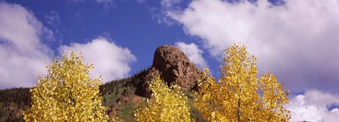 Framed Clouds above aspen trees in autumn, Colorado Print