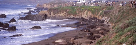 Framed Beach in San Luis Obispo County, California Print