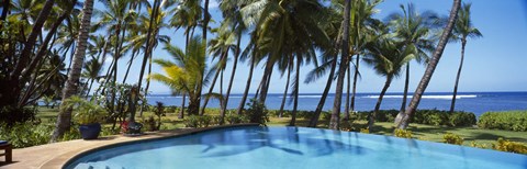 Framed Palm Trees in Maui, Hawaii (horizontal) Print