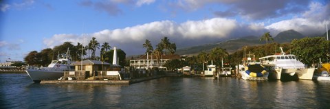 Framed Boats at a harbor, Lahaina Harbor, Lahaina, Maui, Hawaii, USA Print