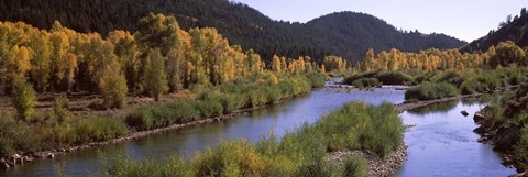 Framed River flowing through a forest, Jackson, Jackson Hole, Teton County, Wyoming, USA Print
