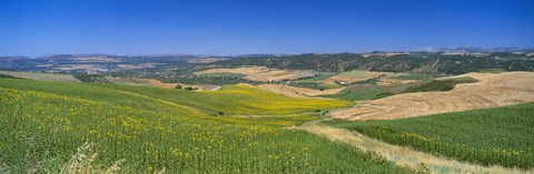 Framed Agricultural fields, Ronda, Malaga, Andalusia, Spain Print