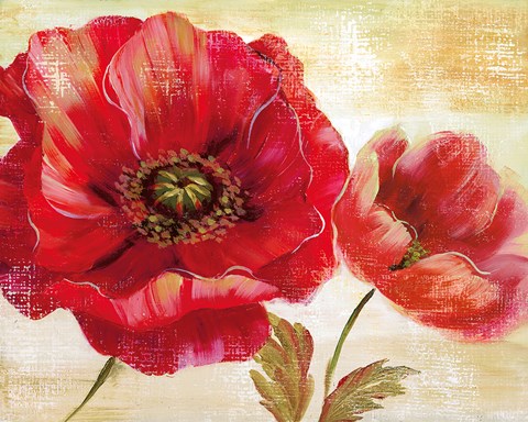 Framed Passion for Poppies I Print
