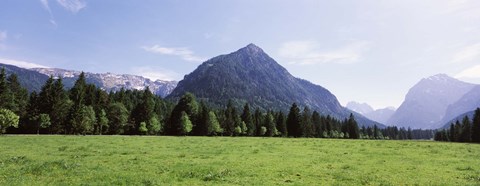 Framed Trees on a hill with mountain range in the background, Karwendel Mountains, Risstal Valley, Hinterriss, Tyrol, Austria Print