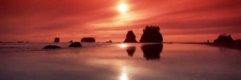 Framed Beach Sunset, Olympic National Park, Washington State Print