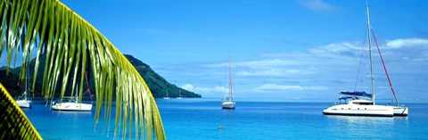 Framed Sailboats in the ocean, Tahiti, Society Islands, French Polynesia (horizontal) Print