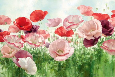 Framed Poppies Pleasure Print