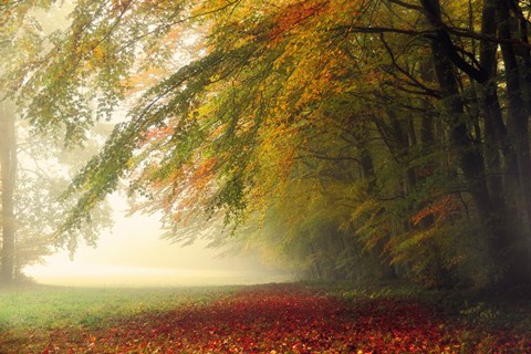 Framed Your Beauty Silences Me Print