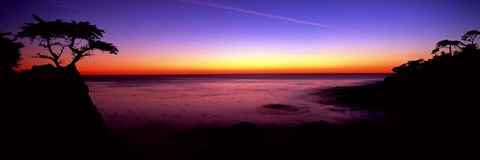 Framed Silhouette of Lone Cypress Tree on a cliff, 17-Mile Drive, Pebble Beach, Carmel, Monterey County, California, USA Print