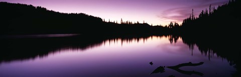 Framed Reflection of trees in a lake, Mt Rainier National Park, Washington State Print