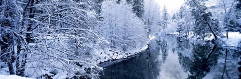 Framed Snow covered trees along a river, Yosemite National Park, California, USA Print