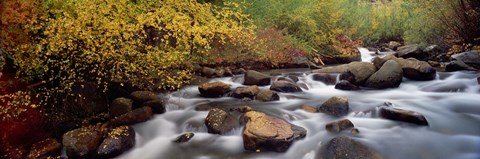 Framed Stream flowing through a forest, Inyo County, California, USA Print