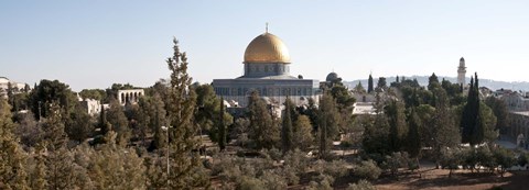 Framed Trees with mosque in the background, Dome Of the Rock, Temple Mount, Jerusalem, Israel Print