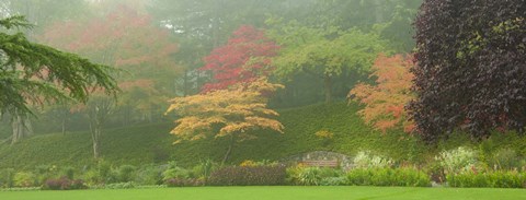 Framed Colored Trees in Butchart Gardens, Vancouver Island, British Columbia, Canada Print