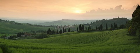 Framed Trees on a hill, Monticchiello Di Pienza, Val d&#39;Orcia, Siena Province, Tuscany, Italy Print