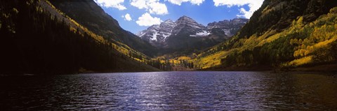 Framed Trees in a forest, Snowmass Wilderness Area, Maroon Bells, Colorado, USA Print