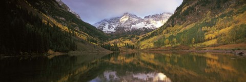 Framed Reflection of trees on water, Aspen, Pitkin County, Colorado, USA Print