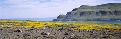 Framed Island in the pacific ocean, Santa Cruz Island, Santa Barbara County, California, USA Print