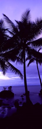Framed Palm trees on the coast, Colombia (purple) Print