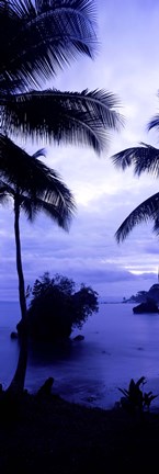 Framed Palm trees on the coast, Colombia (purple and blue) Print