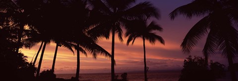 Framed Palm trees on the coast, Colombia (pink sky) Print