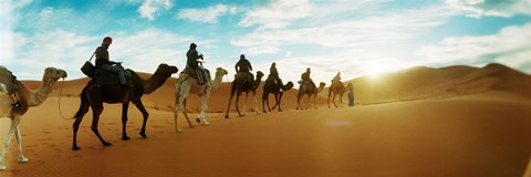 Framed Tourists riding camels through the Sahara Desert landscape led by a Berber man, Morocco Print