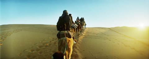 Framed Row of people riding camels through the desert, Sahara Desert, Morocco Print