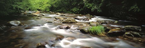 Framed River flowing through a forest, Little Pigeon River, Great Smoky Mountains National Park, Tennessee, USA Print