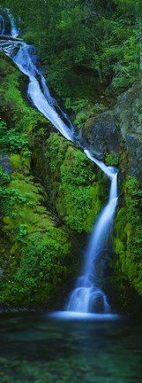 Framed Waterfall in a forest, Sullivan Falls, Opal Creek Wilderness, Oregon, USA Print
