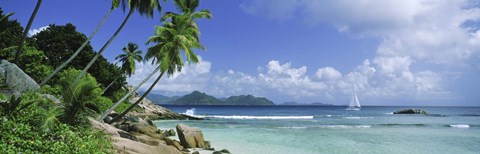 Framed Palm trees on the beach, Anse Severe, La Digue Island, Praslin Island, Seychelles Print