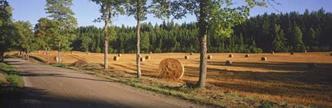 Framed Hay bales in a field, Flens, Sweden Print