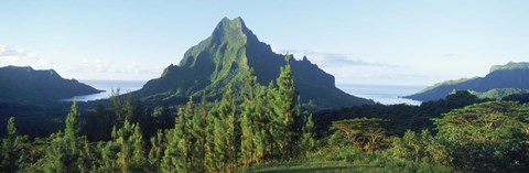 Framed Mountains at a coast, Belvedere Point, Mont Mouaroa, Opunohu Bay, Moorea, Tahiti, French Polynesia Print