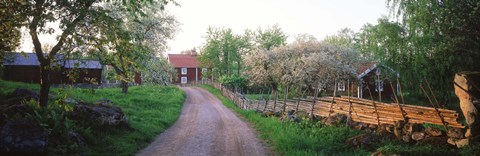 Framed Dirt road leading to farmhouses, Stensjoby, Smaland, Sweden Print