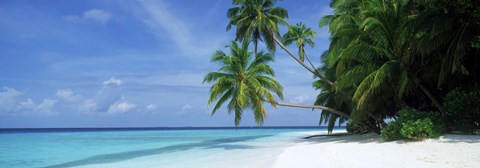 Framed Palm trees on the beach, Fihalhohi Island, Maldives Print